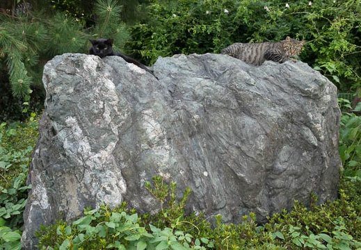 201408111709-DSC04955R10.jpg
