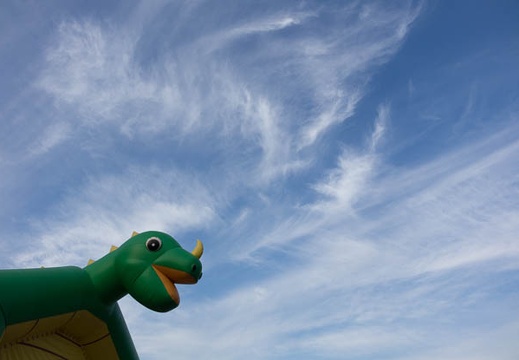 201408111734-DSC05046R10.jpg