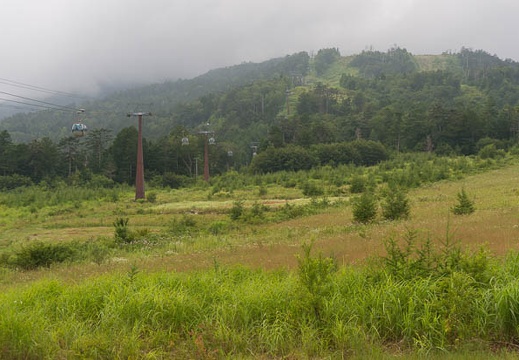 201408131202-DSC08955N6.jpg
