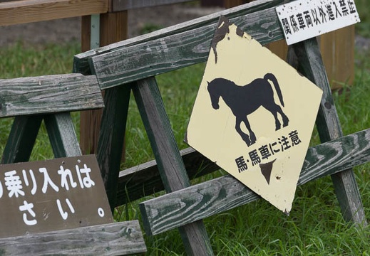 201408131349-DSC01059.jpg