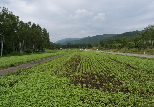 201408131410-DSC09034N6.jpg