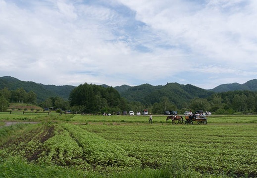 201408131417-DSC09038N6.jpg