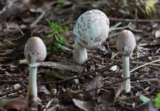 201408171503-DSC01159.jpg
