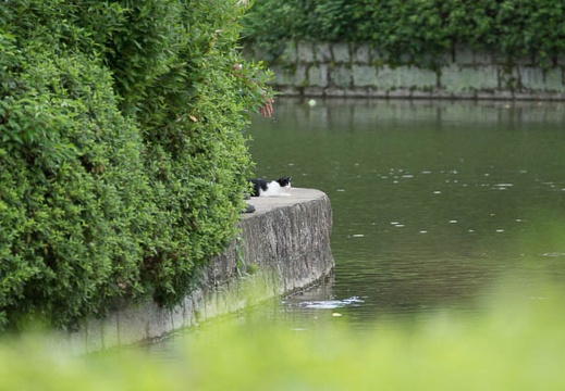 201408171506-DSC01161.jpg