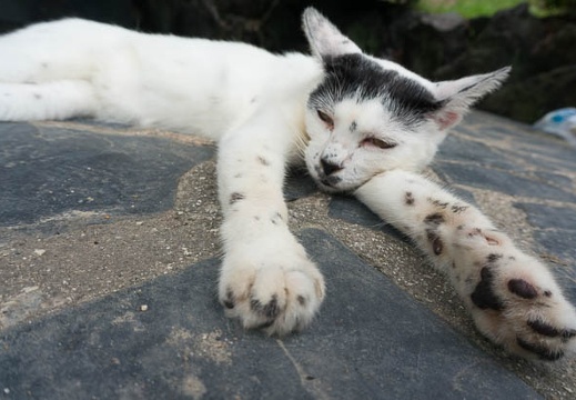 201408171510-DSC09145N6.jpg