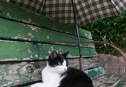 201408171546-DSC09190N6.jpg