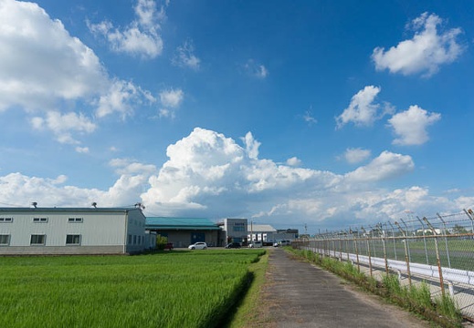 201408181532-DSC09242N6.jpg