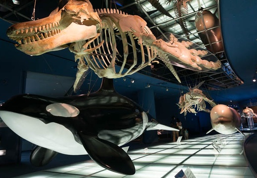 201408291157-DSC09844N6.jpg