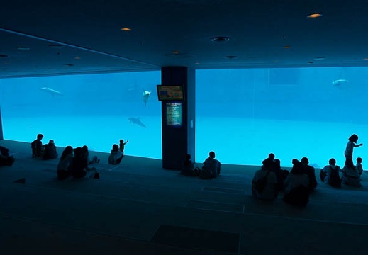 201408291158-DSC09847N6.jpg