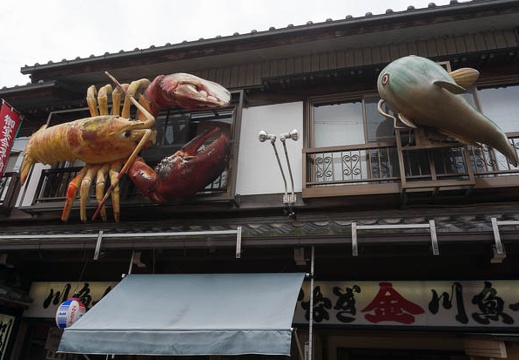 201409031049-DSC00031N6.jpg