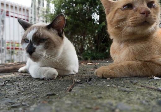 201409031114-DSC00062N6.jpg