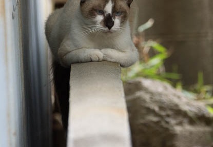 201409031203-DSC02774.jpg