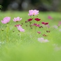 201409031253-DSC02778.jpg