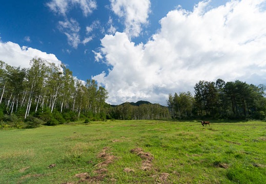 201409071445-DSC00306N6.jpg