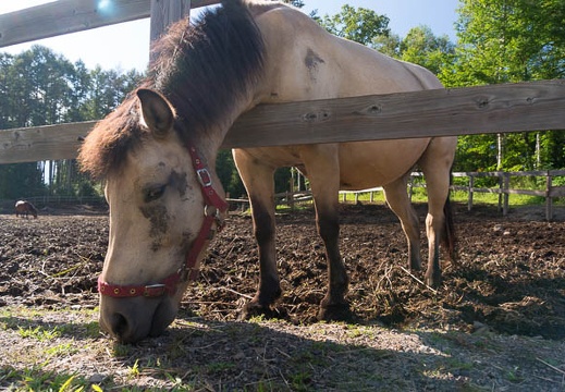 201409071507-DSC00349N6.jpg