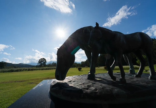 201409071553-DSC00397N6.jpg
