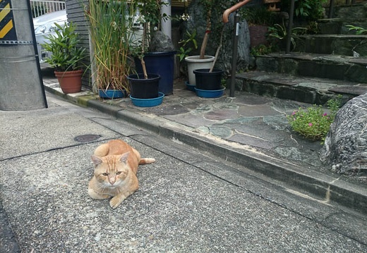 20140908092923-SO-01F.jpg