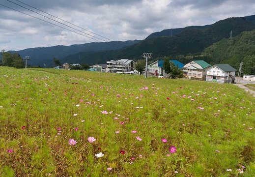 201409091235-DSC00488N6.jpg