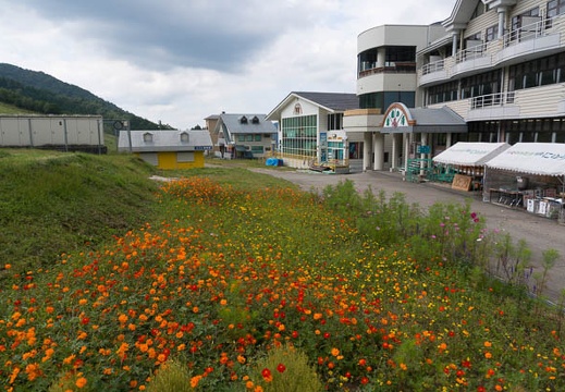 201409091247-DSC00497N6.jpg