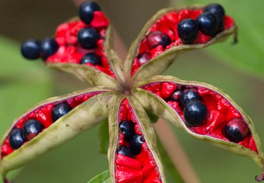 201409091550-DSC03235.jpg