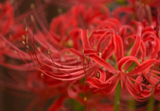 201409181010-DSC03757.jpg