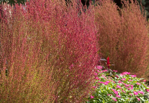 201409181232-DSC04027.jpg