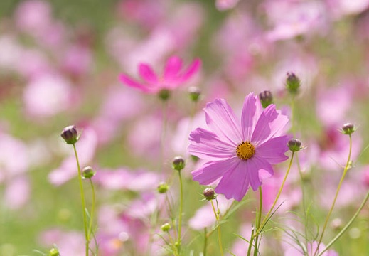 201409181315-DSC04065.jpg