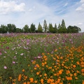 201409181405-DSC01896N6.jpg