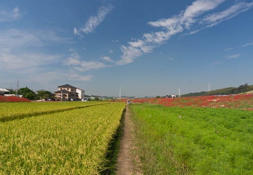 201409221027-DSC02131N6.jpg