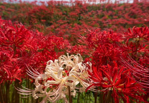 201409221038-DSC02170N6.jpg