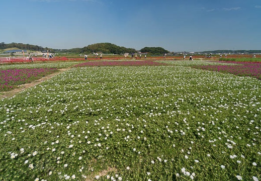 201409221100-DSC02231N6.jpg
