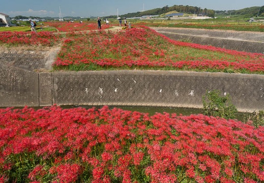 201409221102-DSC02234N6.jpg
