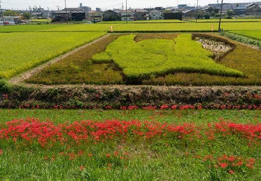 201409221138-DSC02293N6.jpg