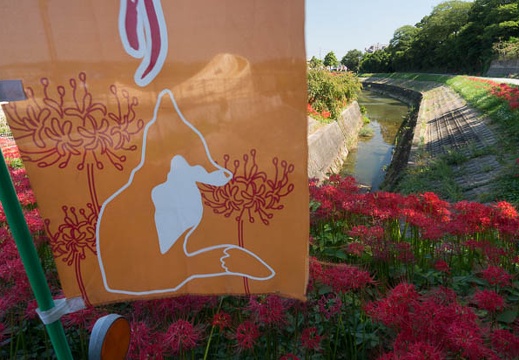201409221201-DSC02331N6.jpg