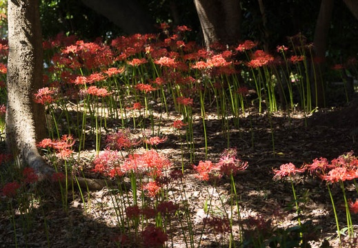 201409221206-DSC04314.jpg