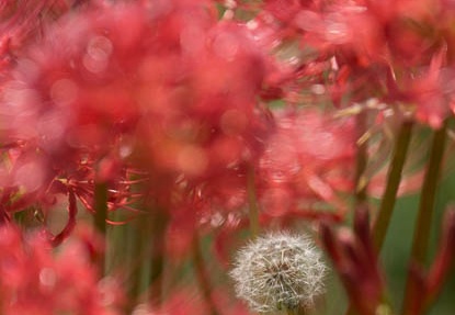201409221252-DSC04337.jpg