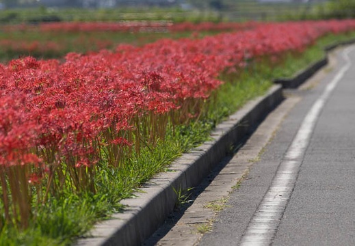 201409221259-DSC04343.jpg