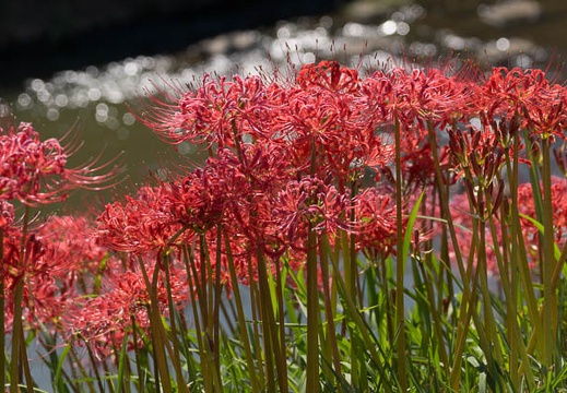 201409221317-DSC04376.jpg