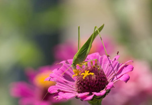 201409221341-DSC04418.jpg