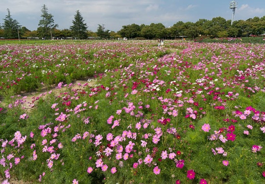 201409230958-DSC02512N6.jpg