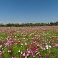 201409231043-DSC02571N6.jpg
