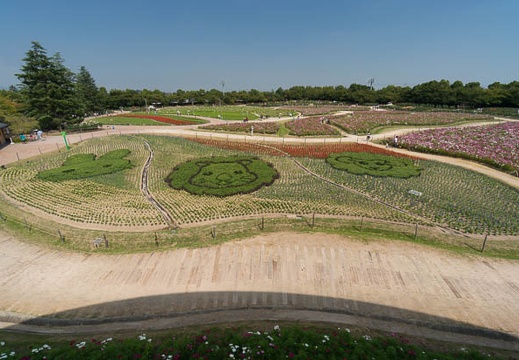 201409231056-DSC02589N6.jpg