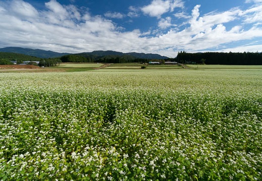 201409260914-DSC02802N6.jpg