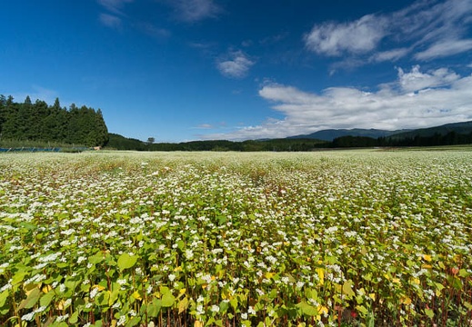 201409260923-DSC02838N6.jpg