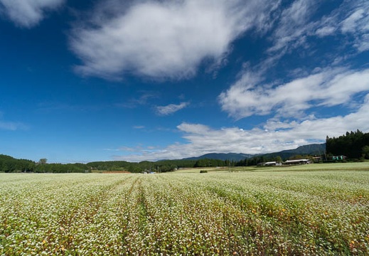 201409260926-DSC02844N6.jpg