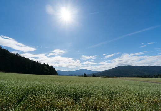 201409260947-DSC02932N6.jpg