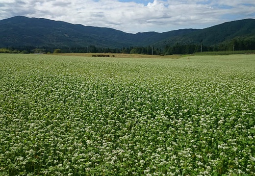 20140926095441-SO-01F.jpg
