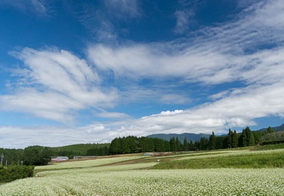201409261013-DSC03003N6.jpg