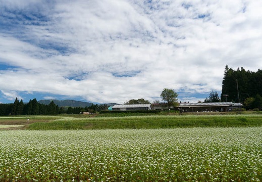 201409261016-DSC03010N6.jpg