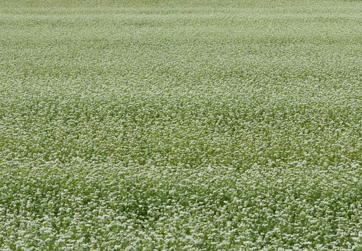 201409261018-DSC04957.jpg